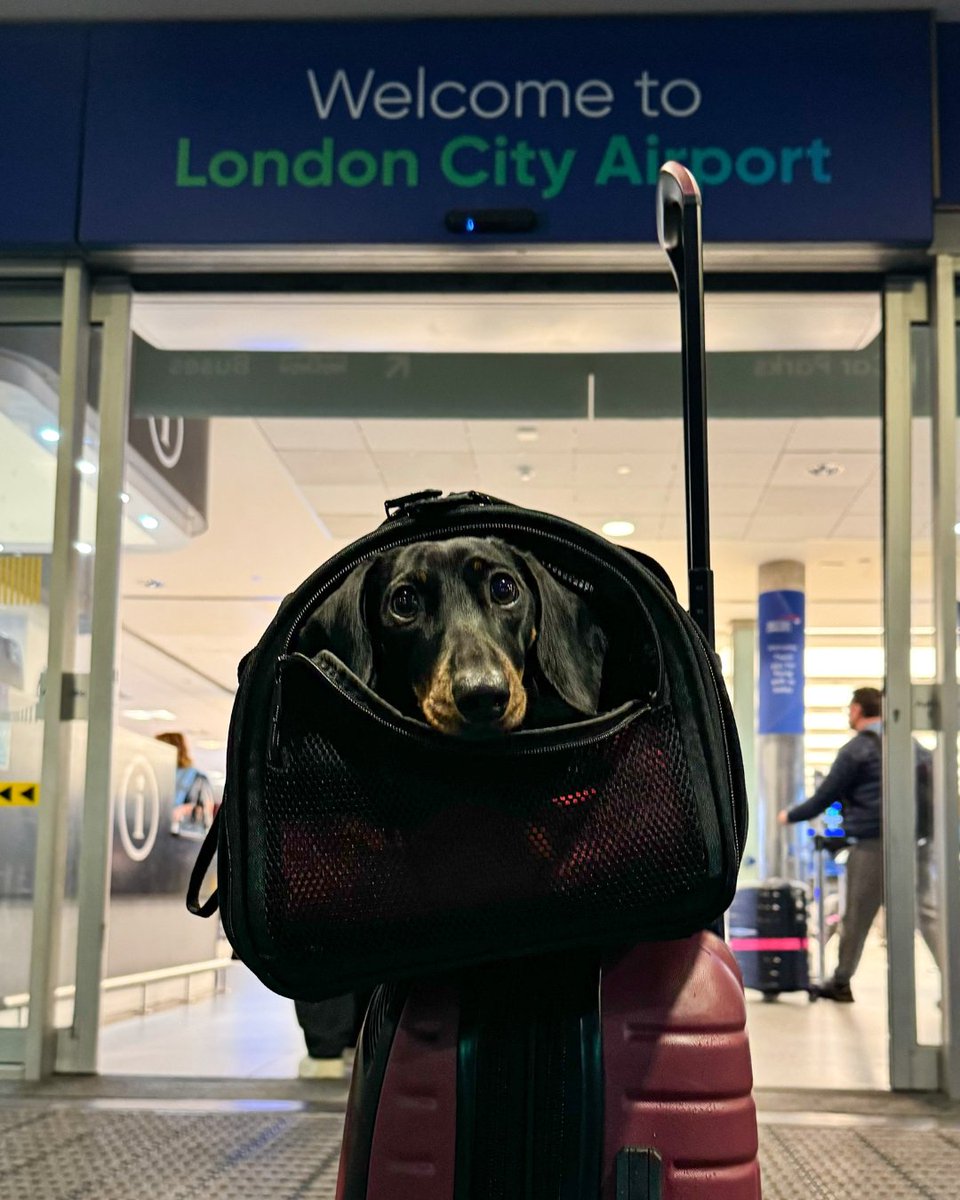 London City Airport tweet media