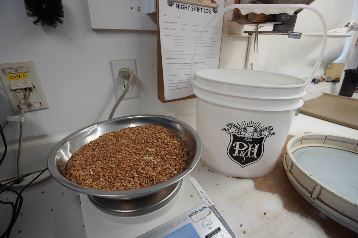 With certified seed from <a href="/thewheatteam/">Rob McLaughlin</a>, added insights from @fieldtomarketCA and milling and market expertise from P&amp;H, our Premium Hard Red Wheat program pays off for #OntAg. Sign up soon because this offer expires April 14 or when the program is full. parrishandheimbecker-ag.com/hard-red-wheat…