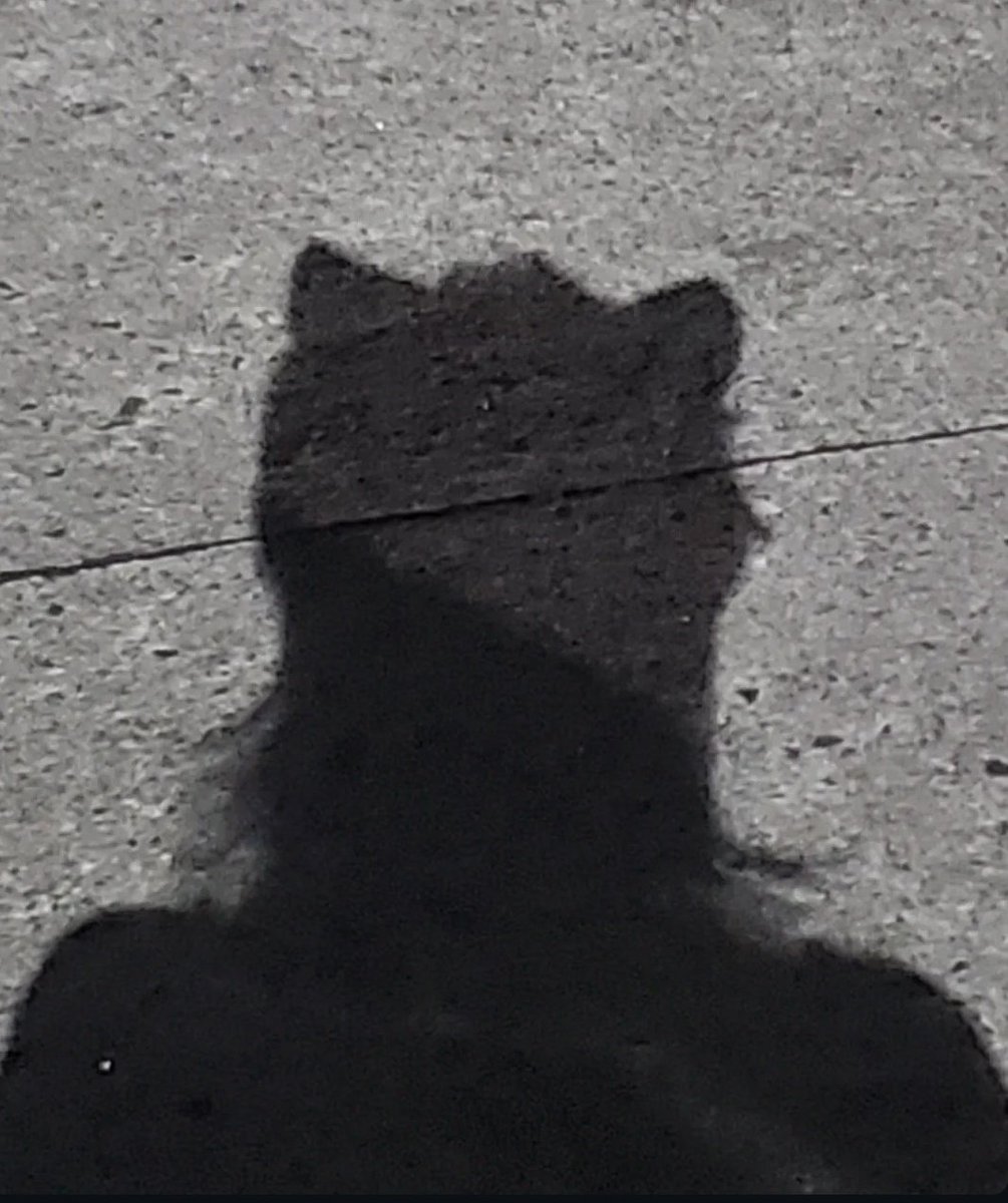 sunraaaaaa's tweet photo. This is me:                                      This is pixelated me:

On the internet, no one knows you're a cat 👽

@pixels_online #PixelatedMe https://t.co/ZFQXSPl6wq