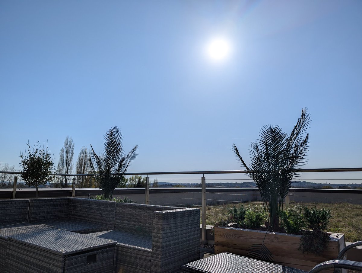 Oli Harris tweet media