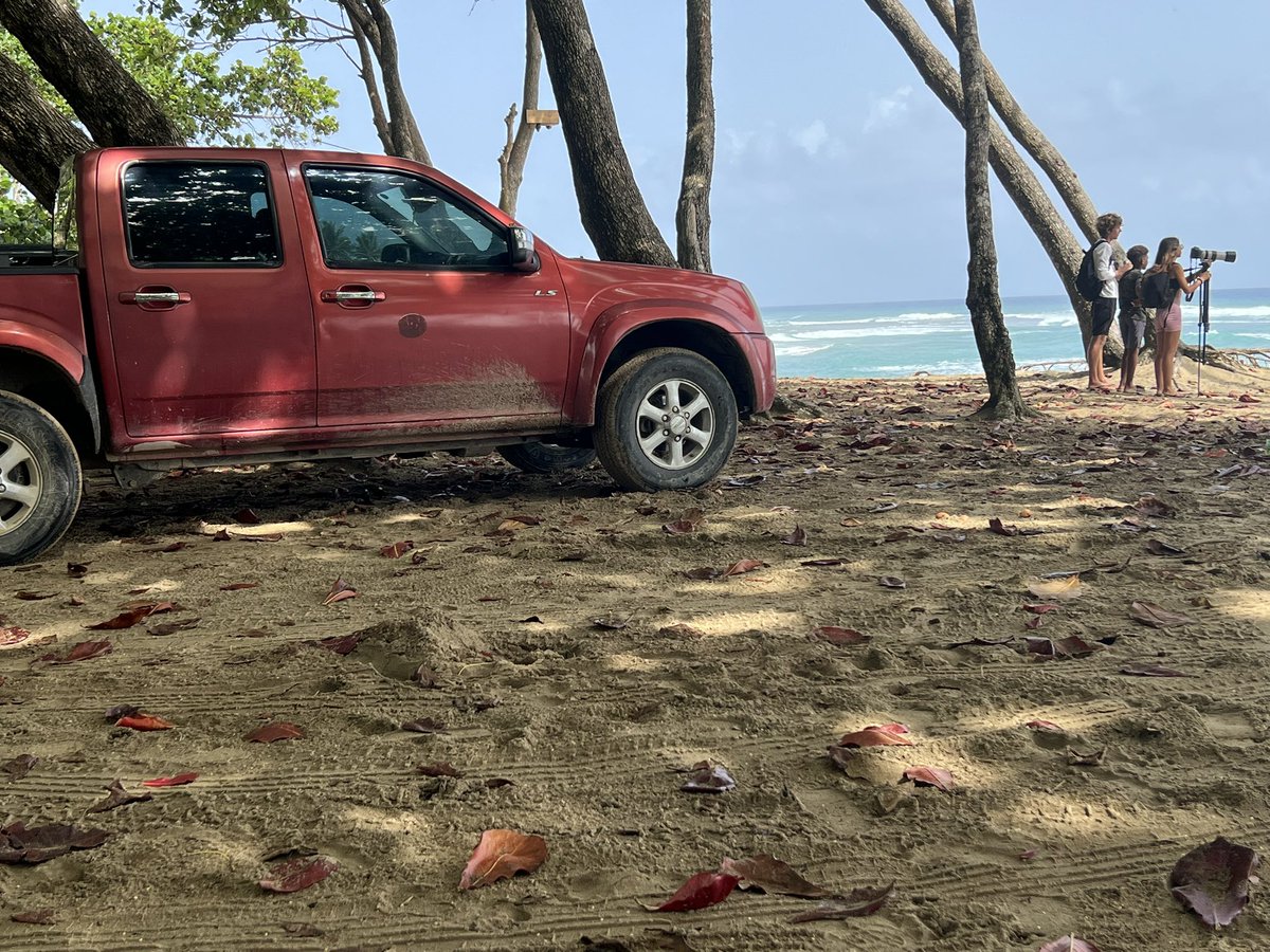 j_rdrgz's tweet photo. La basura es dañina para nuestras playas, pero peor son los vehículos, los daños q causan son irreparables. 👀 cómo está Playa Encuentro en Cabarete. @RDSomosPueblo hablen de eso… @TurismoRD @AmbienteRD @PainoHenriquez @DavidColladoM @Nelsonbautista @ginette_bj @delvyslanfranco https://t.co/HY6W27OVsD