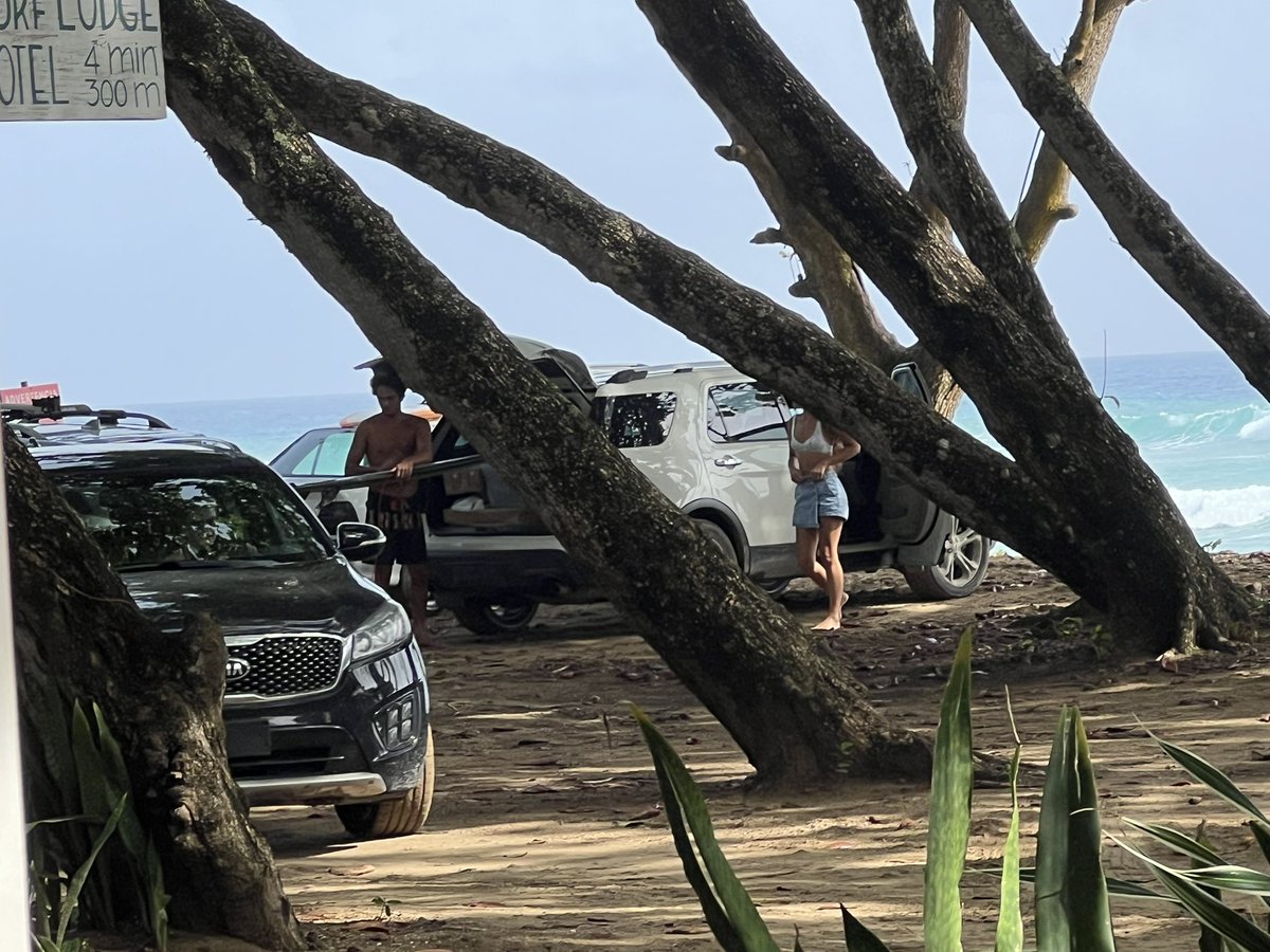 j_rdrgz's tweet photo. La basura es dañina para nuestras playas, pero peor son los vehículos, los daños q causan son irreparables. 👀 cómo está Playa Encuentro en Cabarete. @RDSomosPueblo hablen de eso… @TurismoRD @AmbienteRD @PainoHenriquez @DavidColladoM @Nelsonbautista @ginette_bj @delvyslanfranco https://t.co/HY6W27OVsD