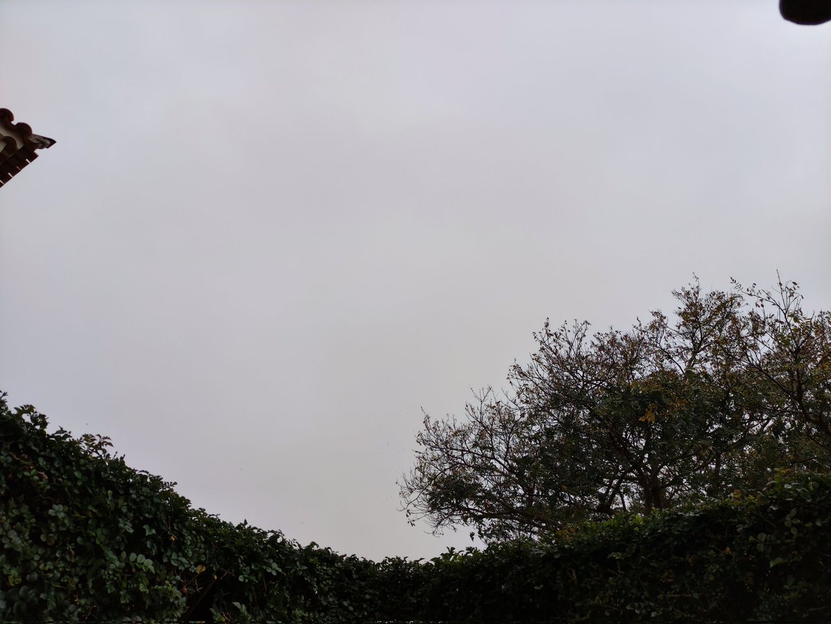 Inalbis 🔻🏳️‍🌈😷💜 tweet media