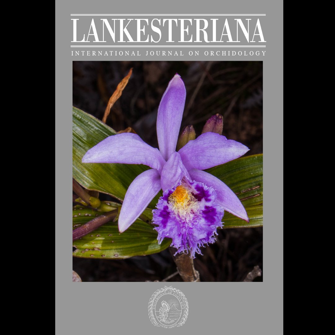 lankesteriana's tweet photo. 🌸 New Sobralia from Peru!
Sobralia aryaelizabethiana: small, unusual, with lavender flowers and short stems.
Grows near Abra de Porcuya, Piura, in semi-arid soils. Read more: https://t.co/gYdWBfoMbJ https://t.co/R29Eu9XfIu