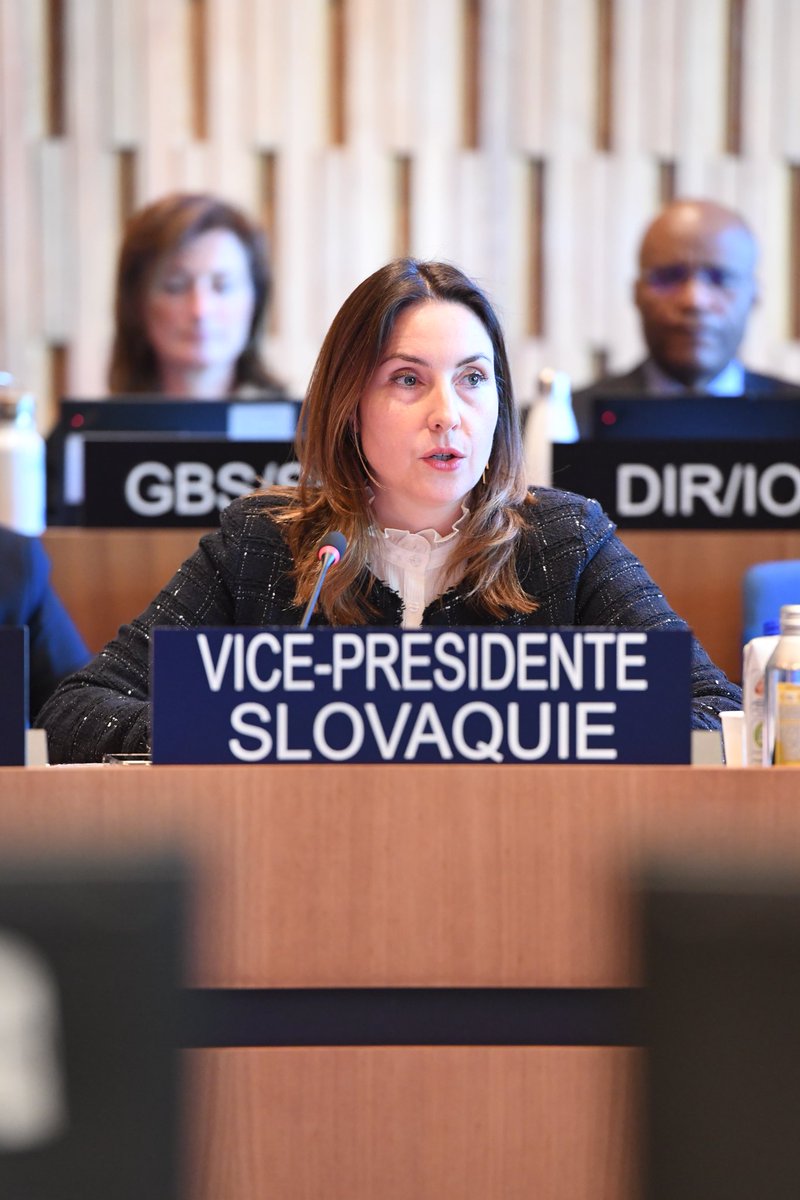 We can see the current international challenges as an opportunity to enhance effectiveness and efficiency, focusing on areas where <a href="/UNESCO/">UNESCO 🏛️ #Education #Sciences #Culture 🇺🇳</a> provides distinct value. It also offers a chance to reaffirm Slovakia's 🇸🇰 commitment to multilateralism. My speech at #ExecutiveBoard.