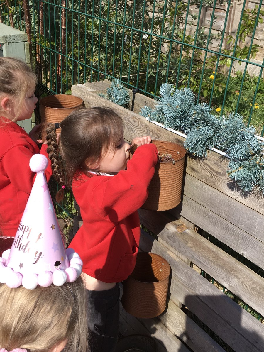 Vale View Primary tweet media