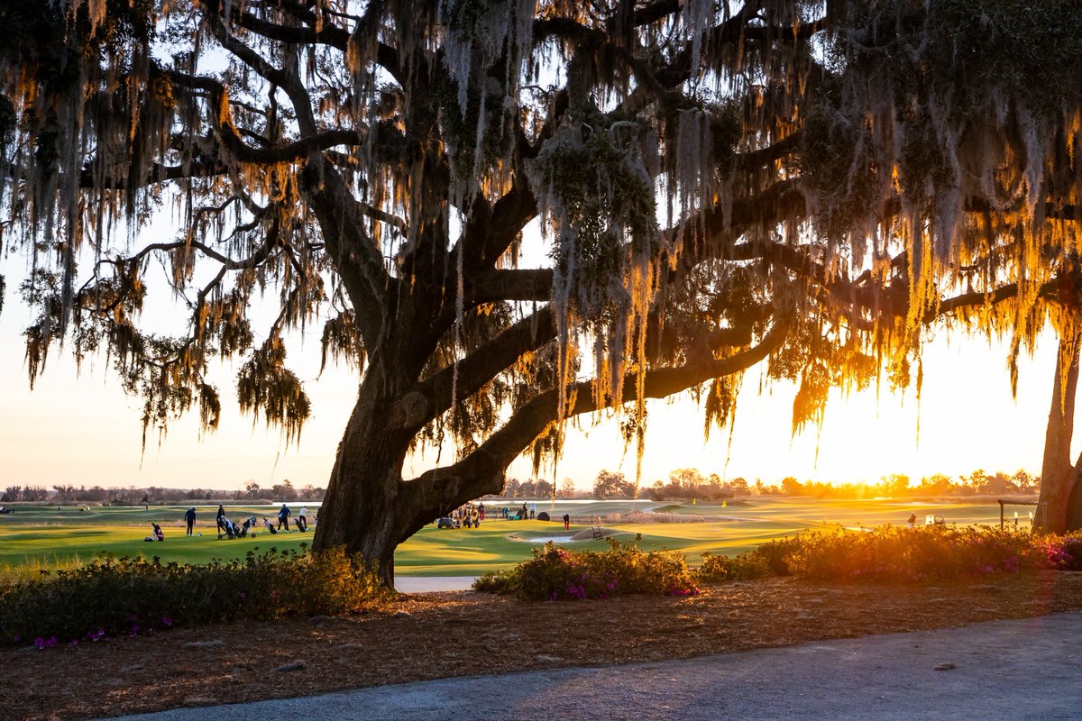 Loaded Field Awaits Georgia Southern at The Ford Collegiate

📰 GSEagles.com/FordPre25

#HailSouthern
