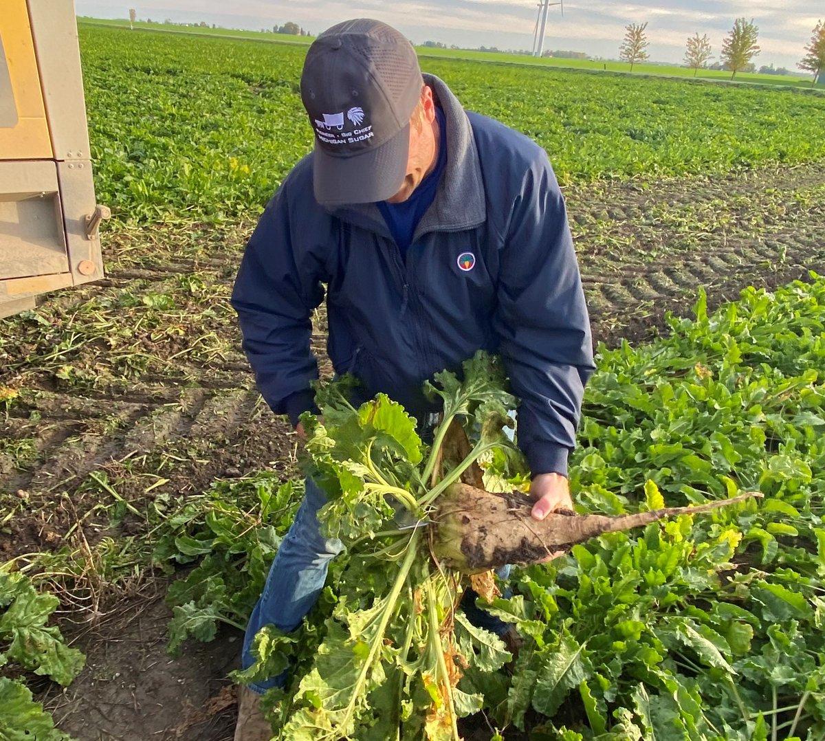 American Sugar Alliance tweet media