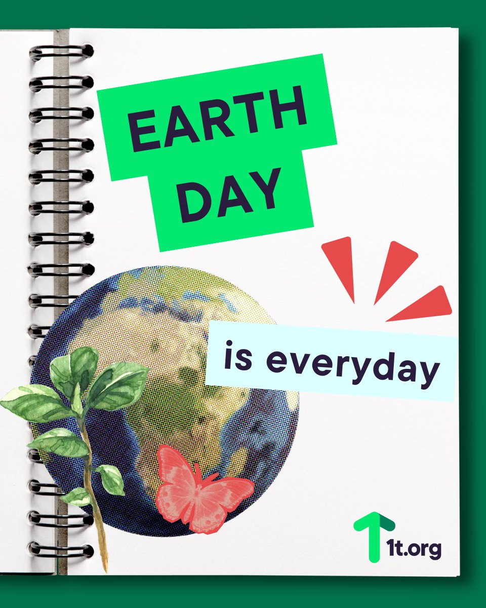 There is no Planet B. 🌏

#EarthDay #EarthActionDay #Forest #TrillionTrees #1torg