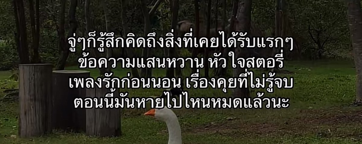 คิดถึงความรู้สึกนี้,