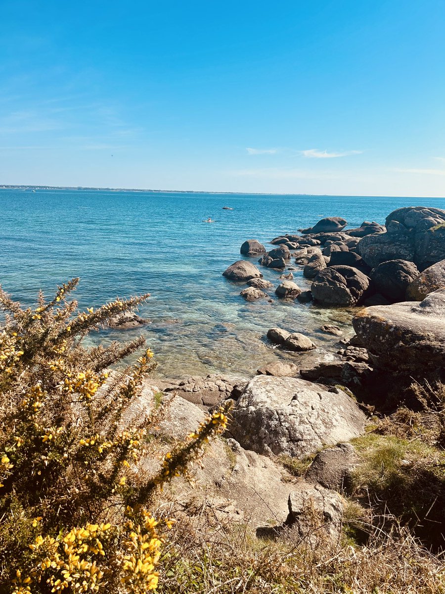 LederoutC's tweet photo. Entre Mousterlin et Beg Meil, aujourd’hui 8 avril 2025. Le paradis coloré … 
#bretagne
#Finistère
#BZH https://t.co/cLwaUAmq4h