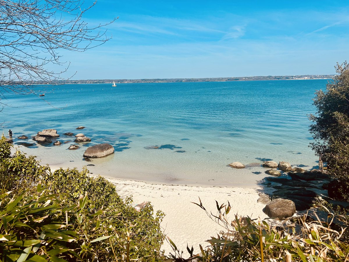 LederoutC's tweet photo. Entre Mousterlin et Beg Meil, aujourd’hui 8 avril 2025. Le paradis coloré … 
#bretagne
#Finistère
#BZH https://t.co/cLwaUAmq4h