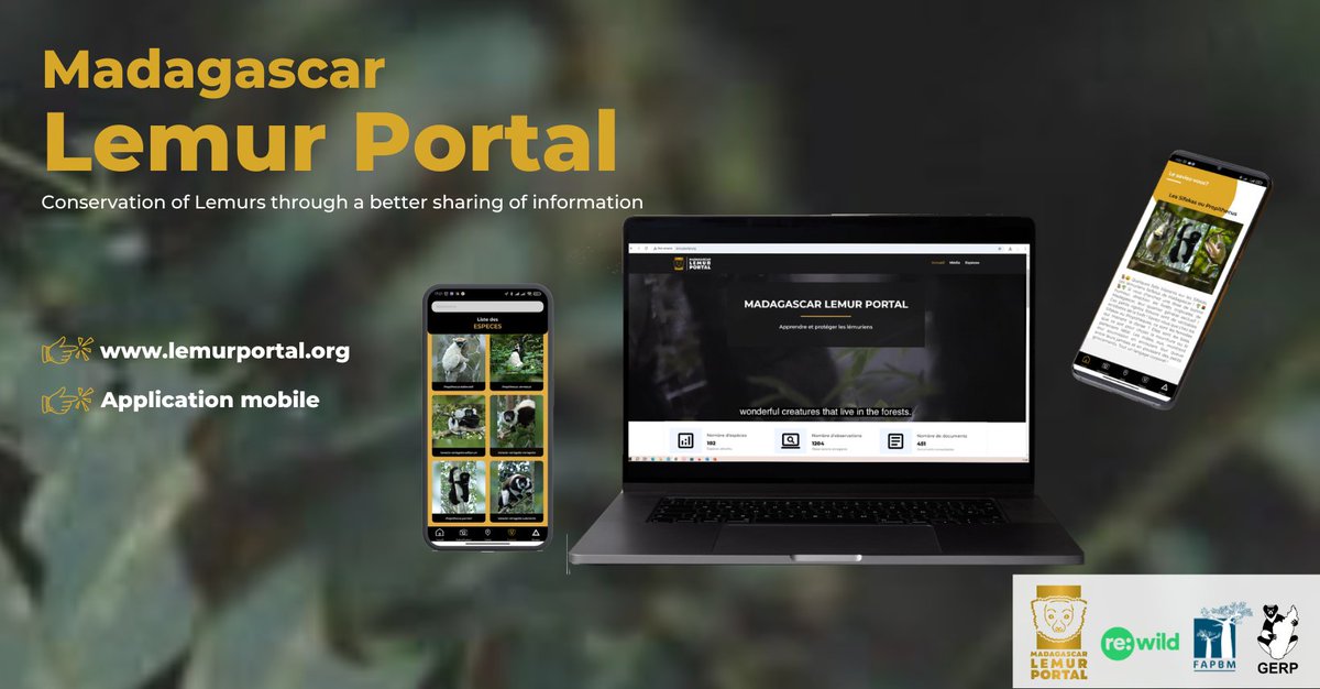 LemursPortal's tweet photo. 🌍 We’ve built something for lemurs.
Not just a platform — a mission.
📊 To share knowledge.
📣 To raise awareness.
🛡️ To protect what’s left.
💚 Madagascar Lemur Portal
🔗 https://t.co/9ajvLNNqmD
#Lemurs #Madagascar #Conservation #HopeForLemurs #MLP https://t.co/PHdyVISgSj
