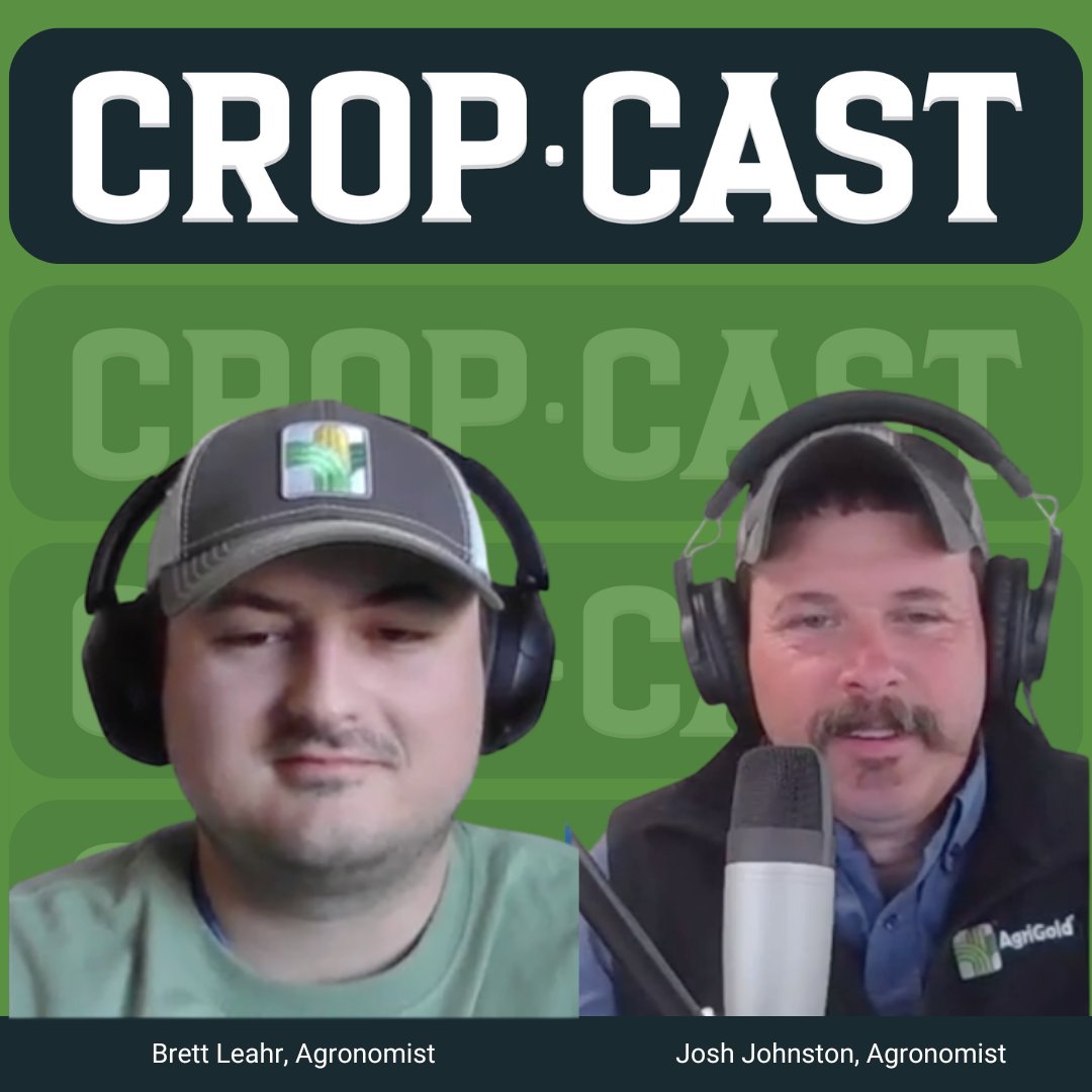 Crop Cast Pod tweet media