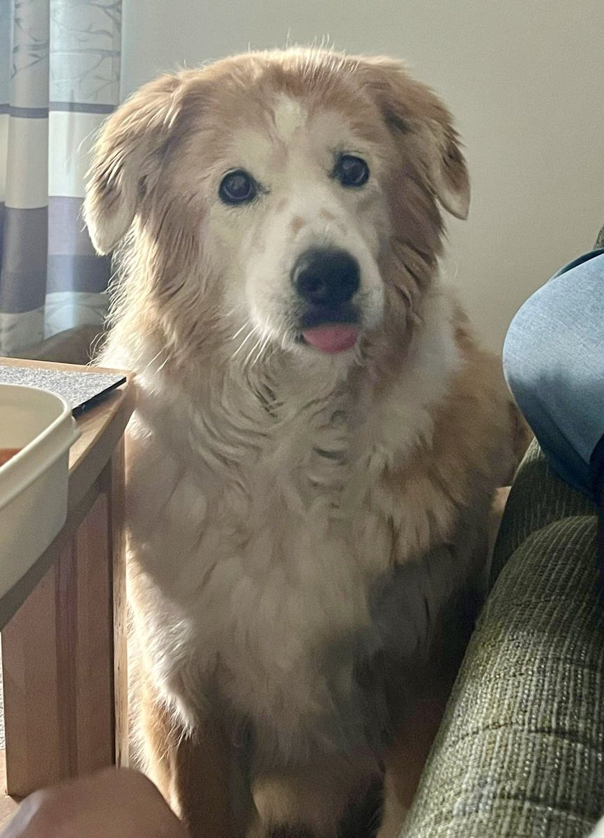 Ich hätte nie gedacht das es so weh tut,
Ich hätte nicht gedacht das der Schmerz so unkontrolliert kommt,
Ich hätte nie gedacht das ich mich so nach etwas sehnen kann,
Ich hätte nie gedacht das es so schlimm wird. 
Ich vermisse sie so unglaublich