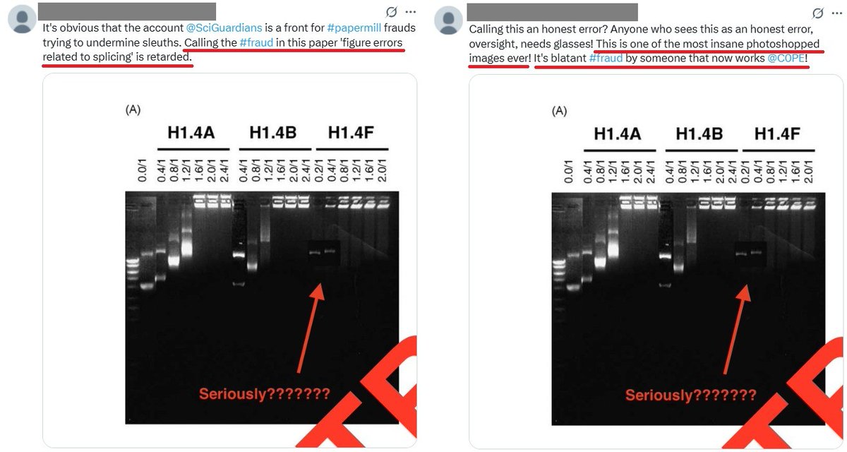 SciGuardians's tweet image. 🚨 The ongoing #attacks on @C0PE and its core members continue as a calculated attempt to tarnish the organization’s credibility and undermine its vital role in upholding #EthicalPublishing standards. Labeling a legitimate scientific #retraction, backed by the journal and the