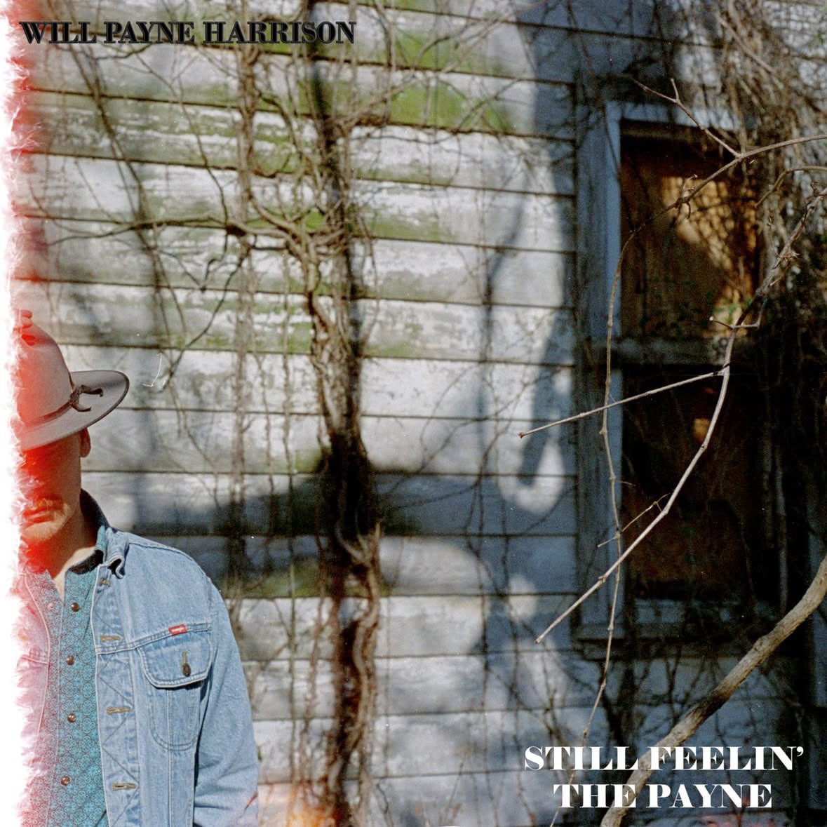 WillPHarrison's tweet photo. Just your daily reminder that we have about 22 days left for vinyl/cd pre-orders. After that you’ll get them in August like a commoner. Special extras will be included like a limited edition poster, stickers and more. https://t.co/3hGZvJZjGF