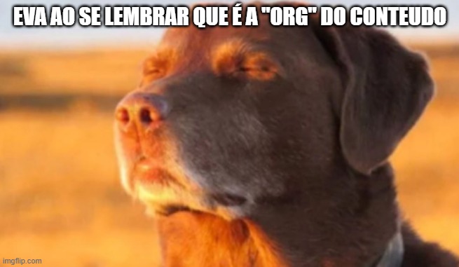 Eclipse Vanguard (@eva_vanguard) on Twitter photo 