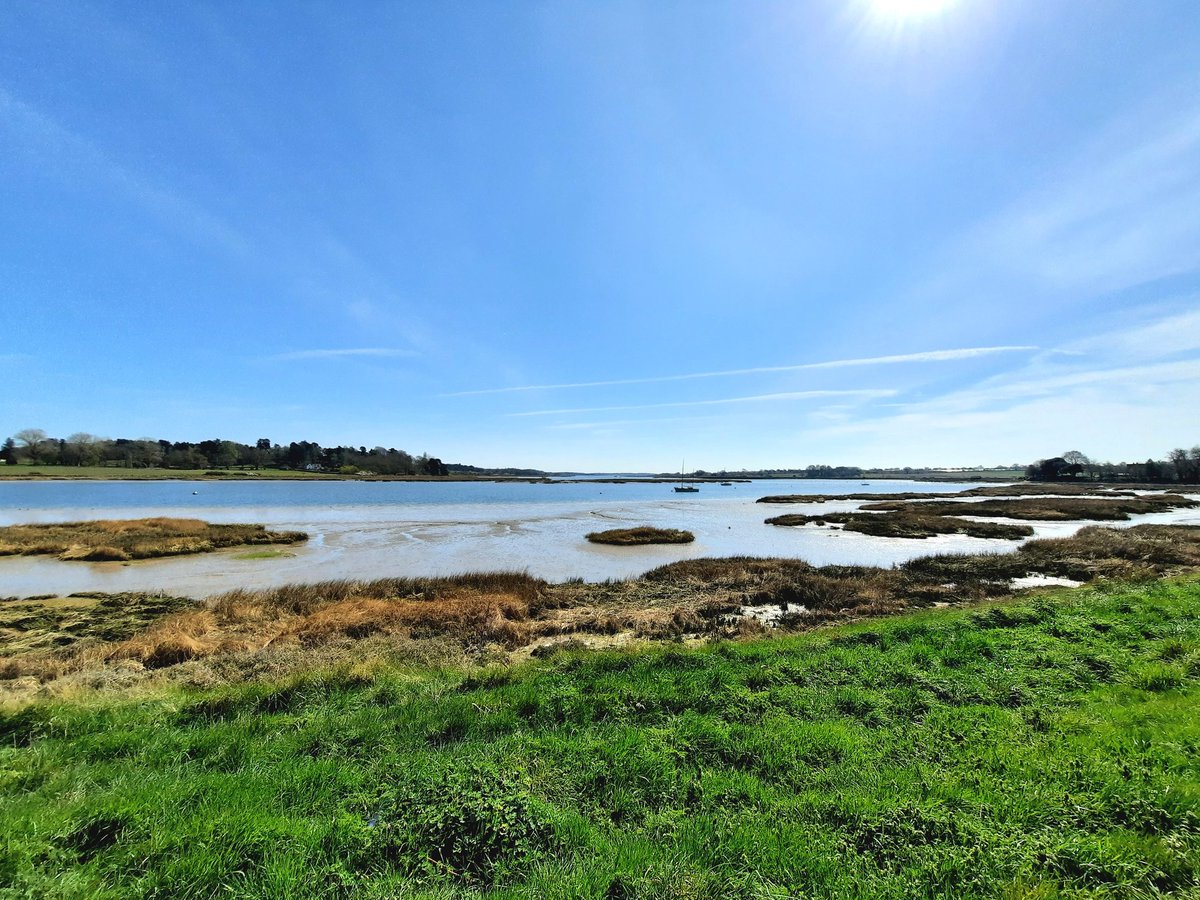 Running Bear 🇺🇦 tweet media