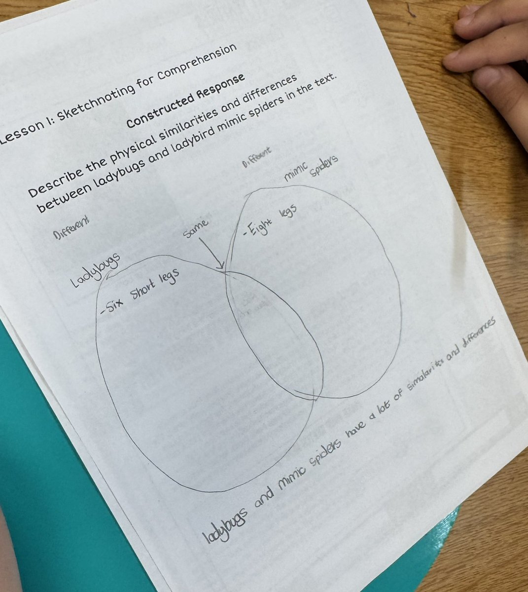 Kate Linnehan tweet media