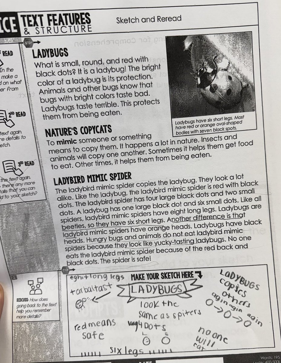 Kate Linnehan tweet media