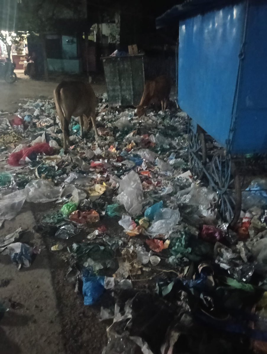 ERVADI_EECT's tweet photo. @ramnadcollector @DMKRNpuram 
இராமநாதபுரம் மாவட்டம் - கடலாடி யூனியன் - ஏர்வாடி ஊராட்சி - ஏர்வாடி தர்ஹா பகுதியில் - காட்டுப்பள்ளி சாலை , தர்ஹா சாலை , சேர்மன் தெரு சாலை உள்ளிட்ட பிரதான சாலைகள் முழுவதும் குப்பைகளால் நிறம்பி உள்ளது. அரசு துறை கவணம் செலுத்துமாறு கேட்டுக் கொள்கின்றோம் https://t.co/ARceBculbC