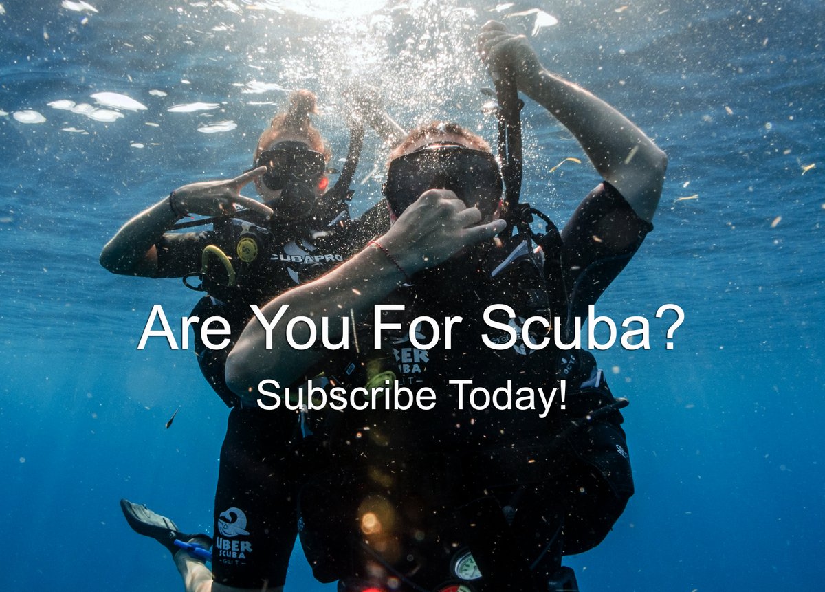 Scuba_Directory's tweet image. Join thousands of scuba divers &amp;amp; snorkelers who subscribe to TheScubaDirectory’s monthly newsletter! 🌊📩

Stay inspired. Stay informed. Subscribe today!

🔗Sign up here: thescubadirectory.com/about/newslett…

#DiveNews #paditv #ScubaTips #ScubaDivingMag #PADI #scubadivelife #scubadive #scub