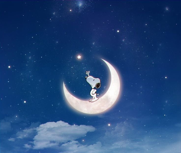 KC uto 🇰🇷 🌻 tweet media