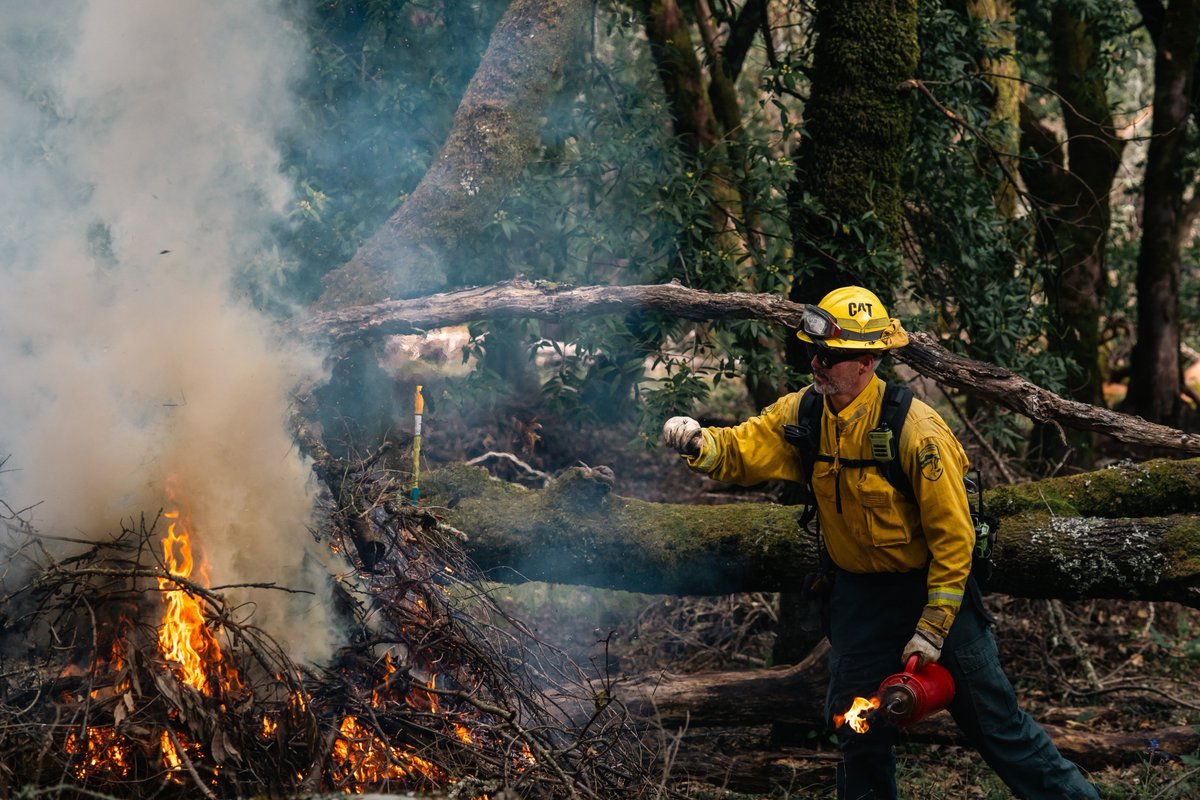 *PILE BURNING ON MT. TAM WATERSHED THE WEEK OF APR. 8*
- Near West Peak at former Mill Valley Air Force Station
- Will continue for additional days this week if conditions are right. Smoke coming from the area may be visible during this work.
Learn more: marinwater.org/WatershedResil…