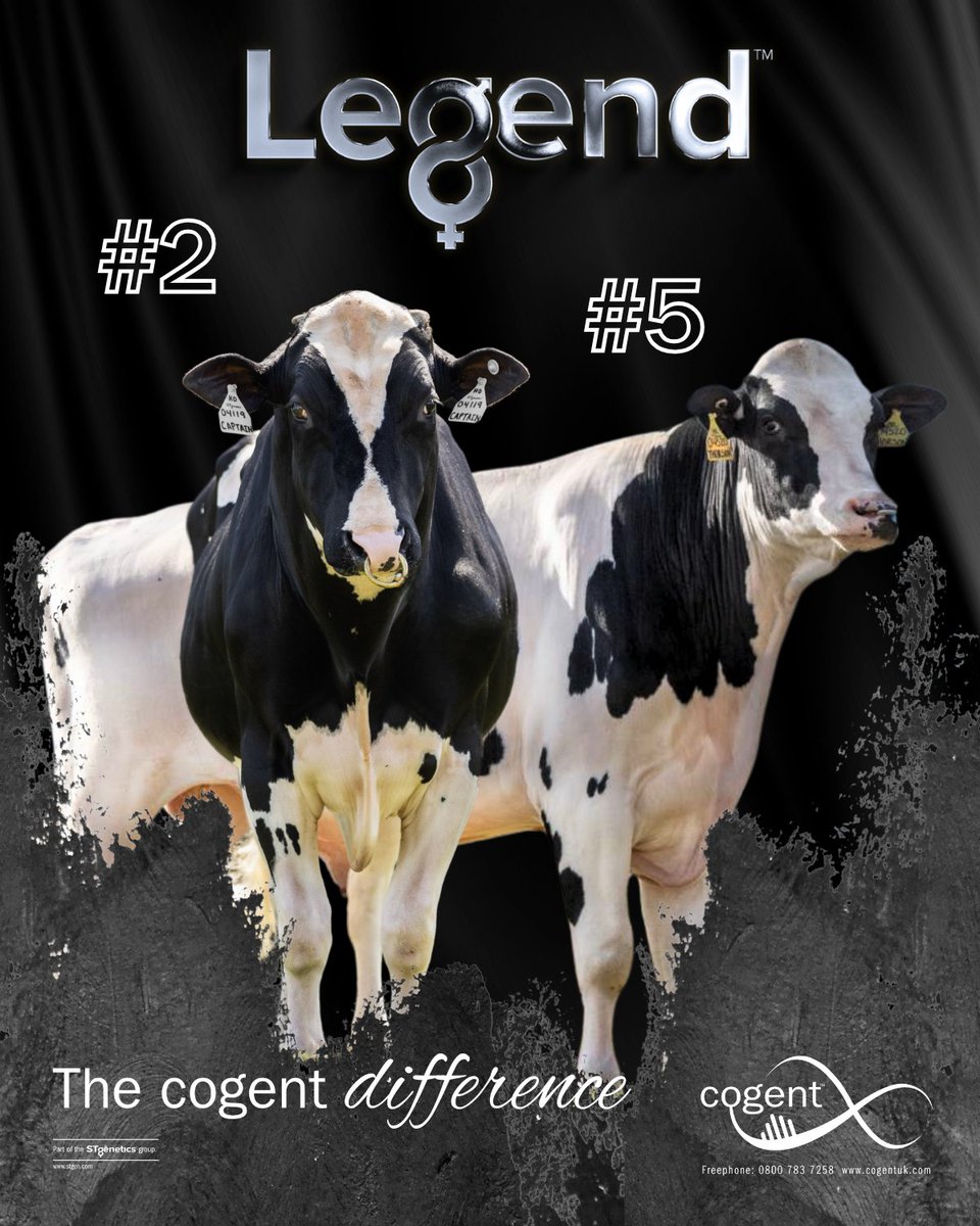 Delivering Proven Legends!

Two of our bulls lead the latest AHDB rankings: Genosource Captain holds #2 for production, and newcomer Thorson ranks #5 for milk composition. Part of our exclusive Legend Programme, they’re driving results on UK farms.

#TheCogentDifference #Legend