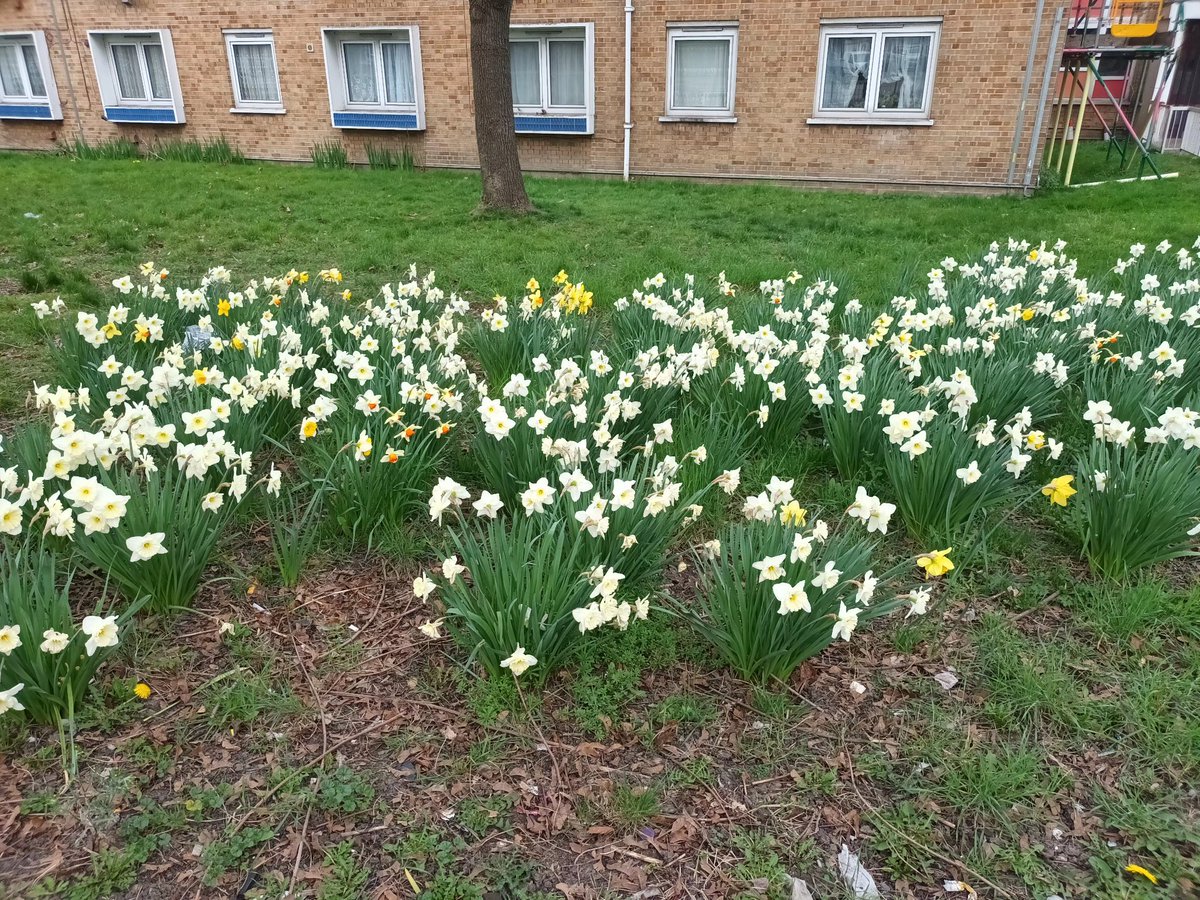 rozzzy7's tweet photo. I thought I came here for the winter, turns out spring was the real deal 🥹🌸 https://t.co/zomfAdc896