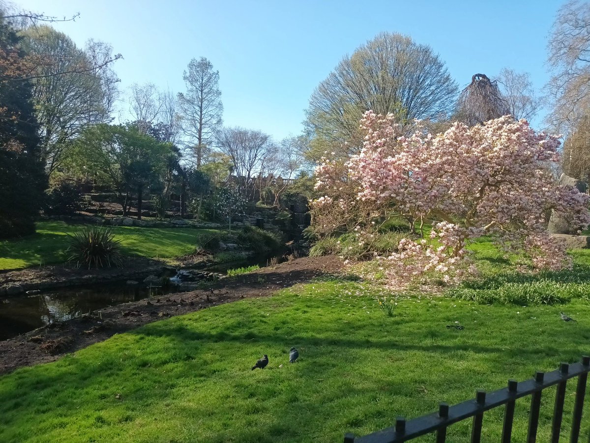 rozzzy7's tweet photo. I thought I came here for the winter, turns out spring was the real deal 🥹🌸 https://t.co/zomfAdc896