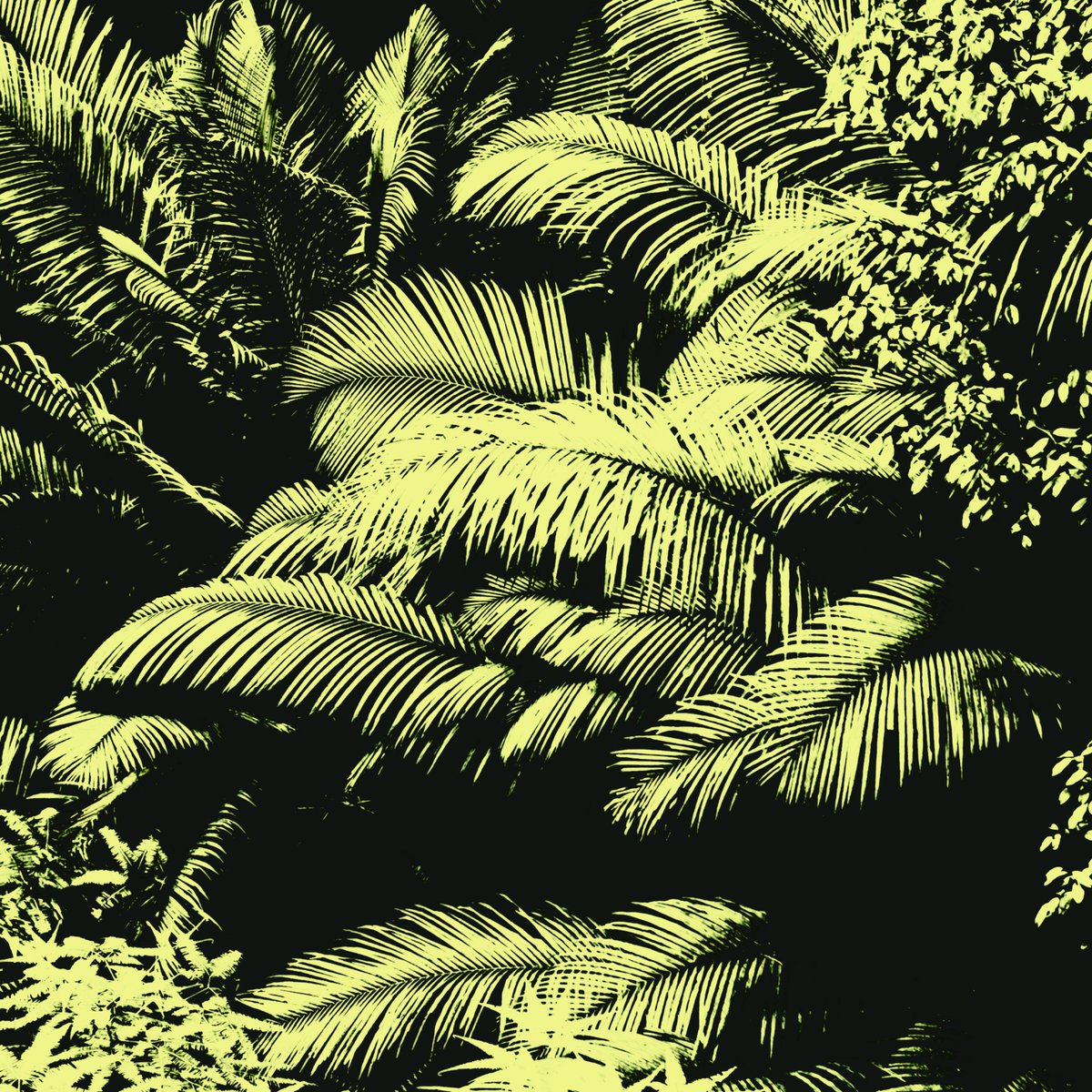 ͏ ͏ ͏ ͏ ͏ ͏ ͏ ͏ ᖇ𝙰𝙴. ͏ ͏ ͏ ͏ ͏ ͏ ͏ ͏ (@pintsizedpluck) on Twitter photo 