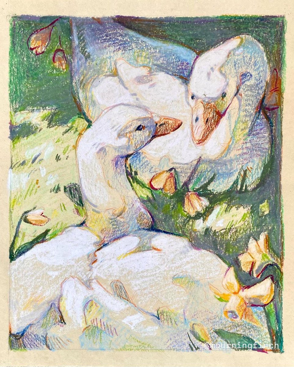 MourningFinch's tweet photo. Trying some oil pastels with a cute little goose drawing
.
.
.
#drawing #goose #oilpasteldrawing #oilpastelpainting #cozy #cottagecoreaesthetic #illustration #traditionalarts https://t.co/DSZkWZFlYe