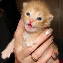 HumUgly's tweet image. #NuevaFotoDePerfil