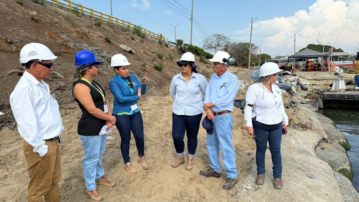 Cardique tweet media