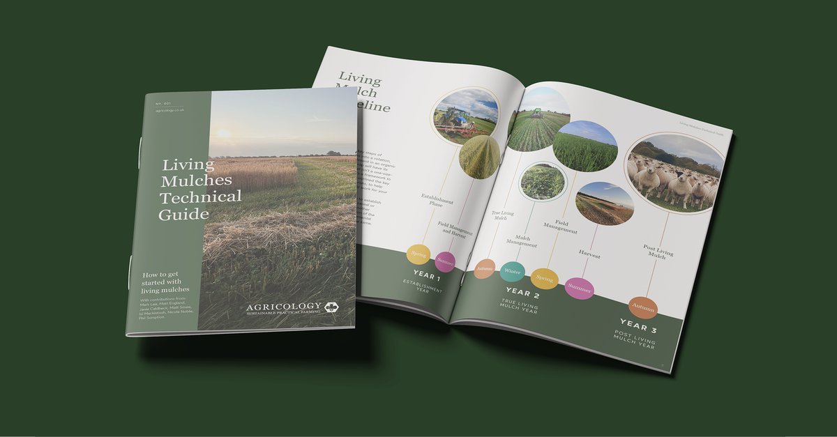 Agricology (@agricology) on Twitter photo Check out the new <a href="/agricology/">Agricology</a> Living Mulches Technical Guide – out now!
☘️Practical step-by-step guidance on getting started with #livingmulches in arable systems
🌾<a href="/Matt3ngland/">Matt England</a> observations and reflections from trialling living mulches in Norfolk.
tinyurl.com/yhshny8h Check out the new <a href="/agricology/">Agricology</a> Living Mulches Technical Guide – out now!
☘️Practical step-by-step guidance on getting started with #livingmulches in arable systems
🌾<a href="/Matt3ngland/">Matt England</a> observations and reflections from trialling living mulches in Norfolk.
tinyurl.com/yhshny8h