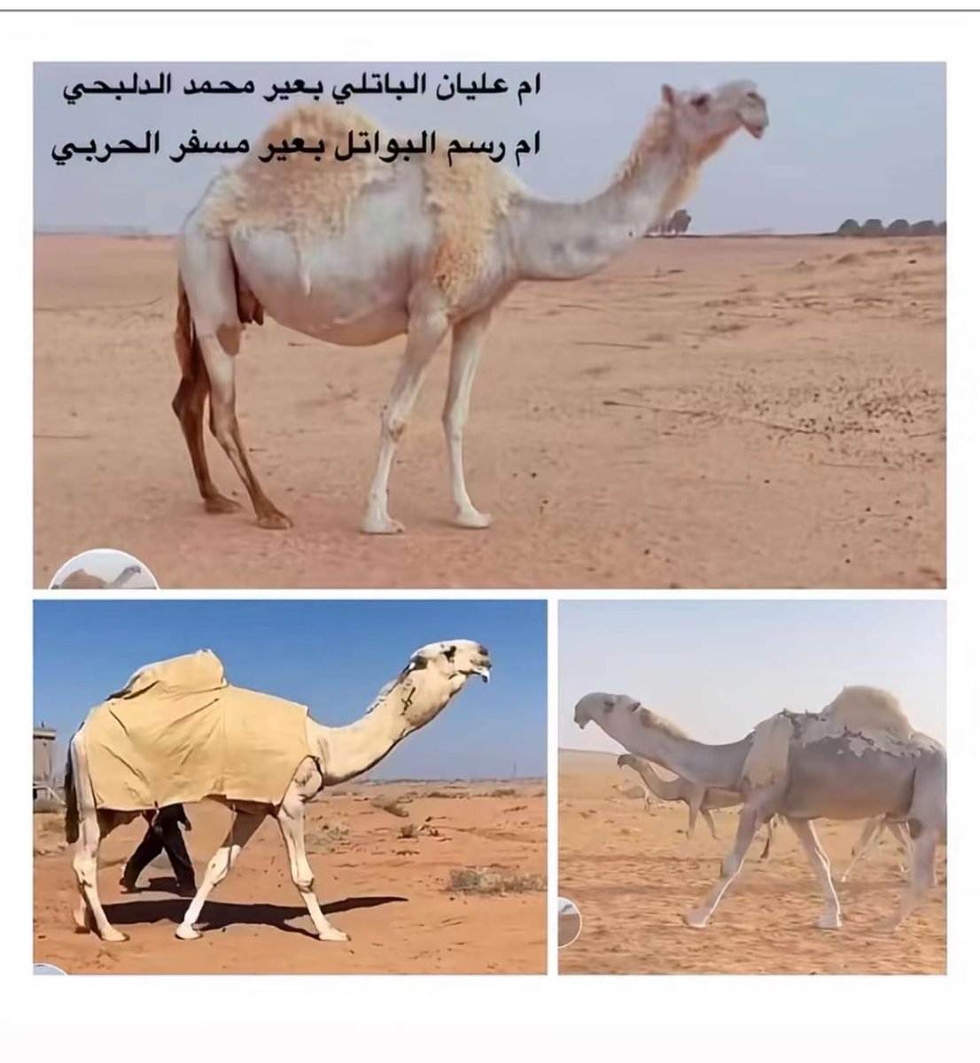 .
اهداء للي يقولون الام مالها دور 😌✅