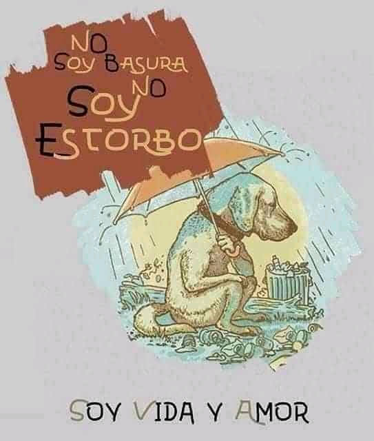 Ni mueble viejo, ni objeto caducado, ni nada por el estilo. Son seres que aman y sienten, son parte de tu familia, no los abandones, no los maltrates, no!!