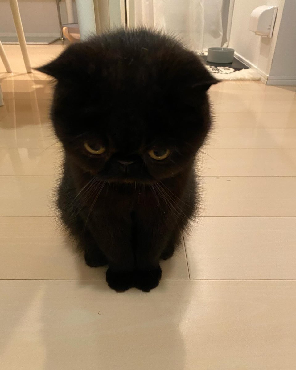 factoryofwow's tweet photo. @Bakutan_bot1 You are doing good https://t.co/0ZCF5d8mcb