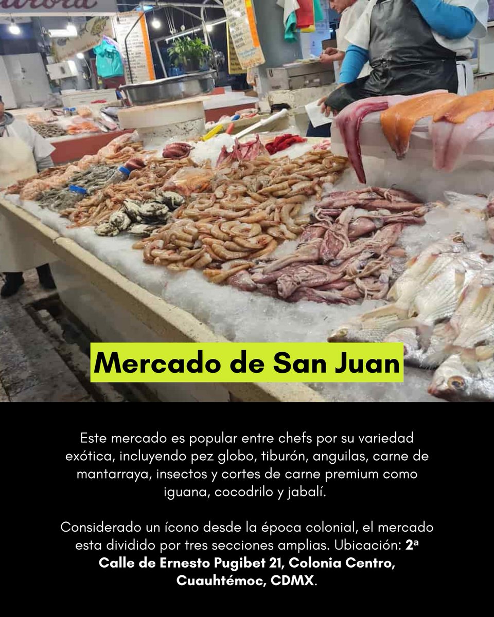 gourmetdemexico's tweet photo. Si te toca cocinar esta Semana Santa, que sea con ingredientes buenos. 🐟
 Aquí te dejamos los mercados imperdibles en CDMX para conseguir mariscos frescos y económicos. 🛒
#Mercados  #CDMX #Cuaresma  #Mariscos  #SemanaSanta #GourmetDeMéxico https://t.co/liK7V6bo1s