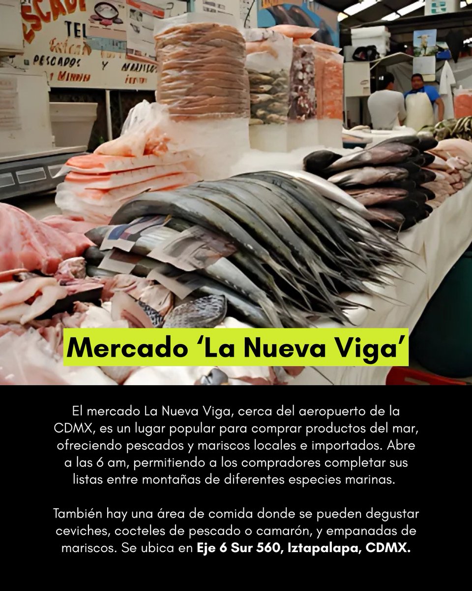 gourmetdemexico's tweet photo. Si te toca cocinar esta Semana Santa, que sea con ingredientes buenos. 🐟
 Aquí te dejamos los mercados imperdibles en CDMX para conseguir mariscos frescos y económicos. 🛒
#Mercados  #CDMX #Cuaresma  #Mariscos  #SemanaSanta #GourmetDeMéxico https://t.co/liK7V6bo1s