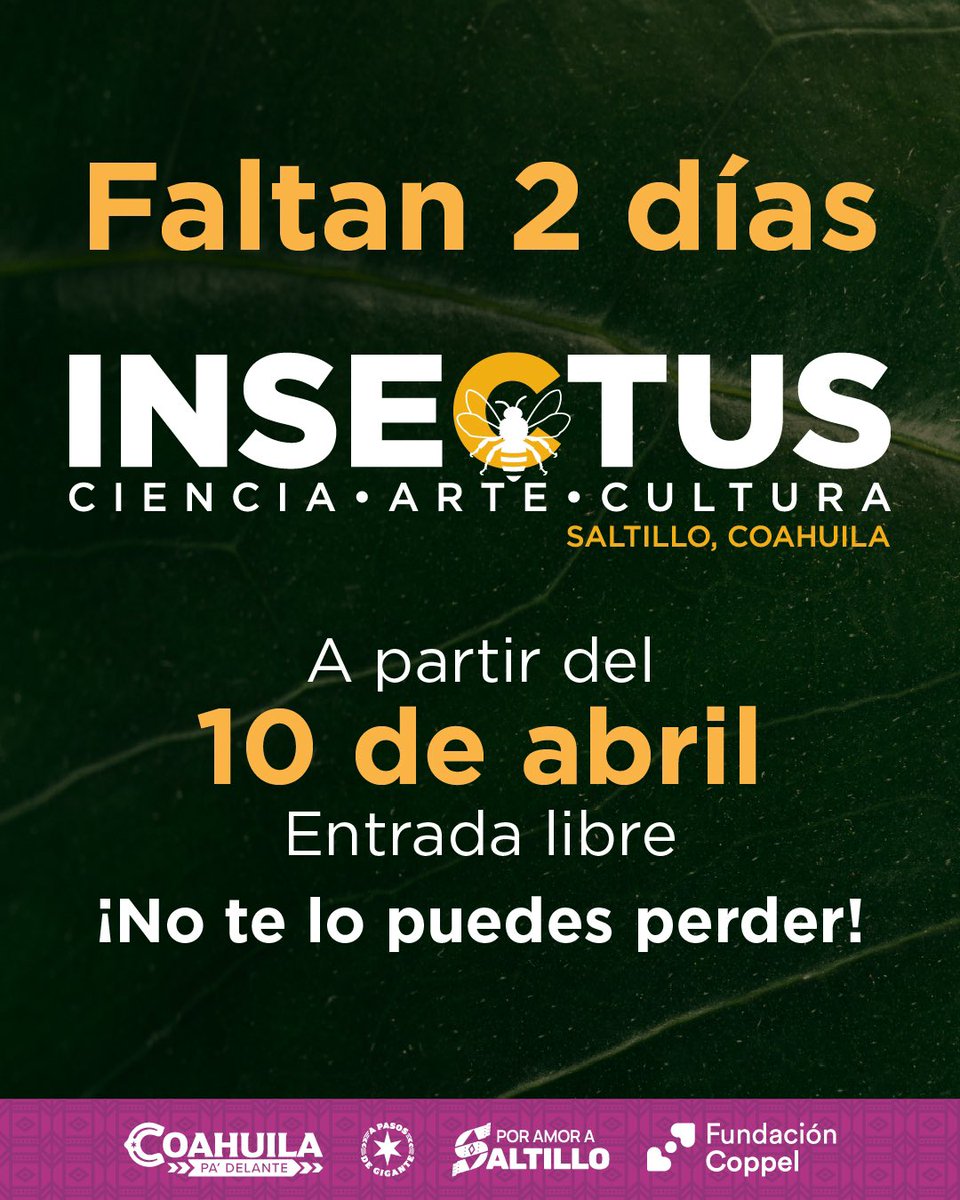 SaltilloGob's tweet photo. ¡Faltan 2 Días para disfrutar de Insectus!
Etiqueta a la persona con la que quieres ir a INSECTUS
#PorAmoraSaltillo #CoahuilaPaDelante #FundaciónCoppel #Saltillo #INSECTUS #InsectusSaltillo https://t.co/54NvUZduuC