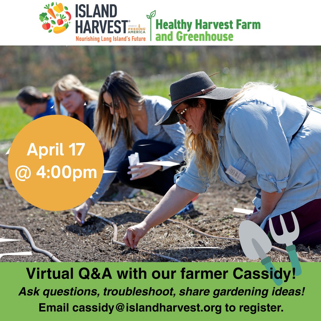 Island Harvest (@islandharvest) on Twitter photo 🌱 Back by popular demand! Our amazing farmer Cassidy is hosting a series of monthly virtual Q&As to help you navigate the gardening season.
📩 To register, email Cassidy at cassidy@islandharvest.org.
See you there, green thumbs! 🌻 🌱 Back by popular demand! Our amazing farmer Cassidy is hosting a series of monthly virtual Q&As to help you navigate the gardening season.
📩 To register, email Cassidy at cassidy@islandharvest.org.
See you there, green thumbs! 🌻
