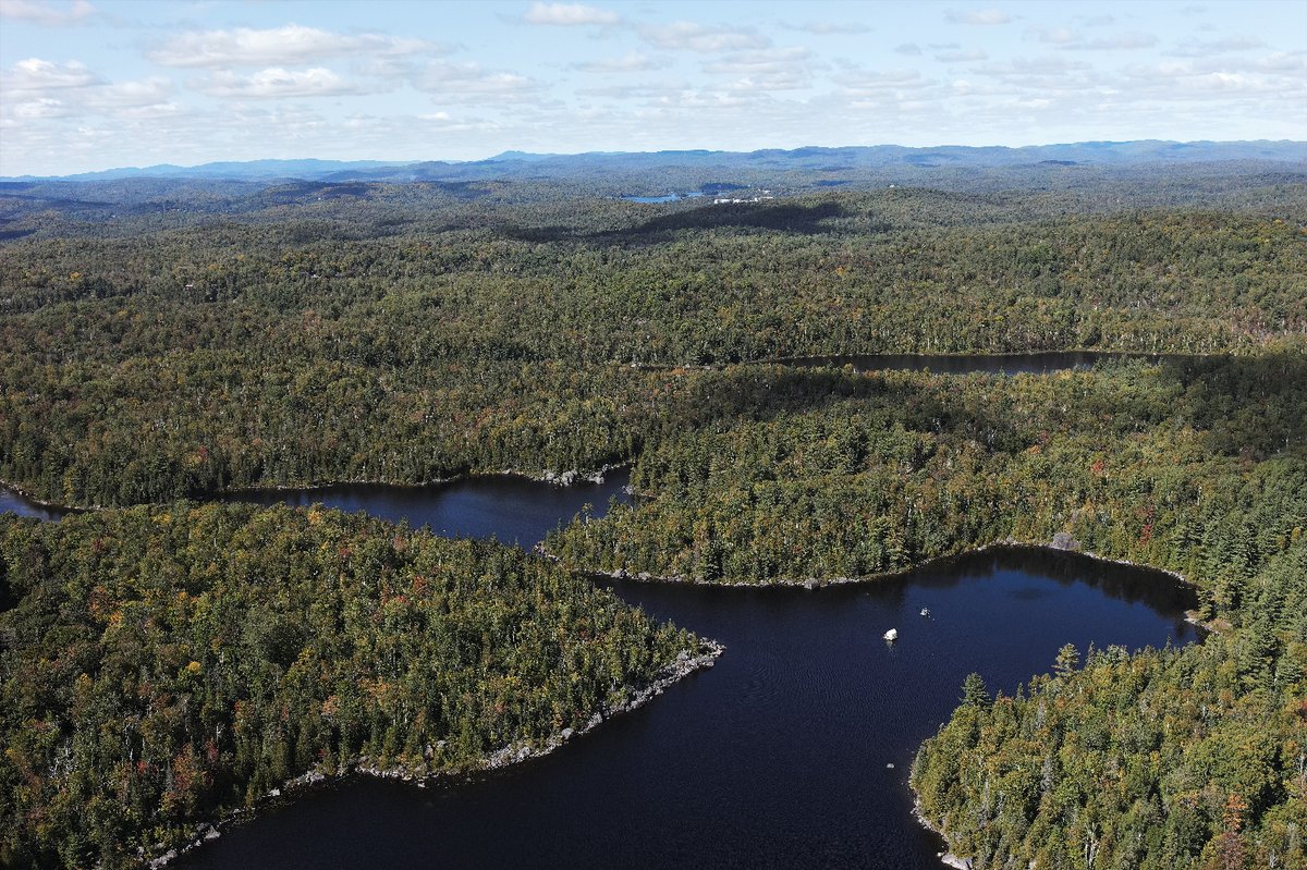 Oikos_Journal's tweet photo. Local environment and sampling bias drive parasite prevalence estimates in freshwater fish communities
https://t.co/GaMeGCRBmG
📷 © Juliane Vigneault
#DiseaseEcology #DistributionPatterns #HostParasiteInteractions #InfectionPredictors #InfectionParameters #SamplingDesign https://t.co/dsxsN5GjPQ