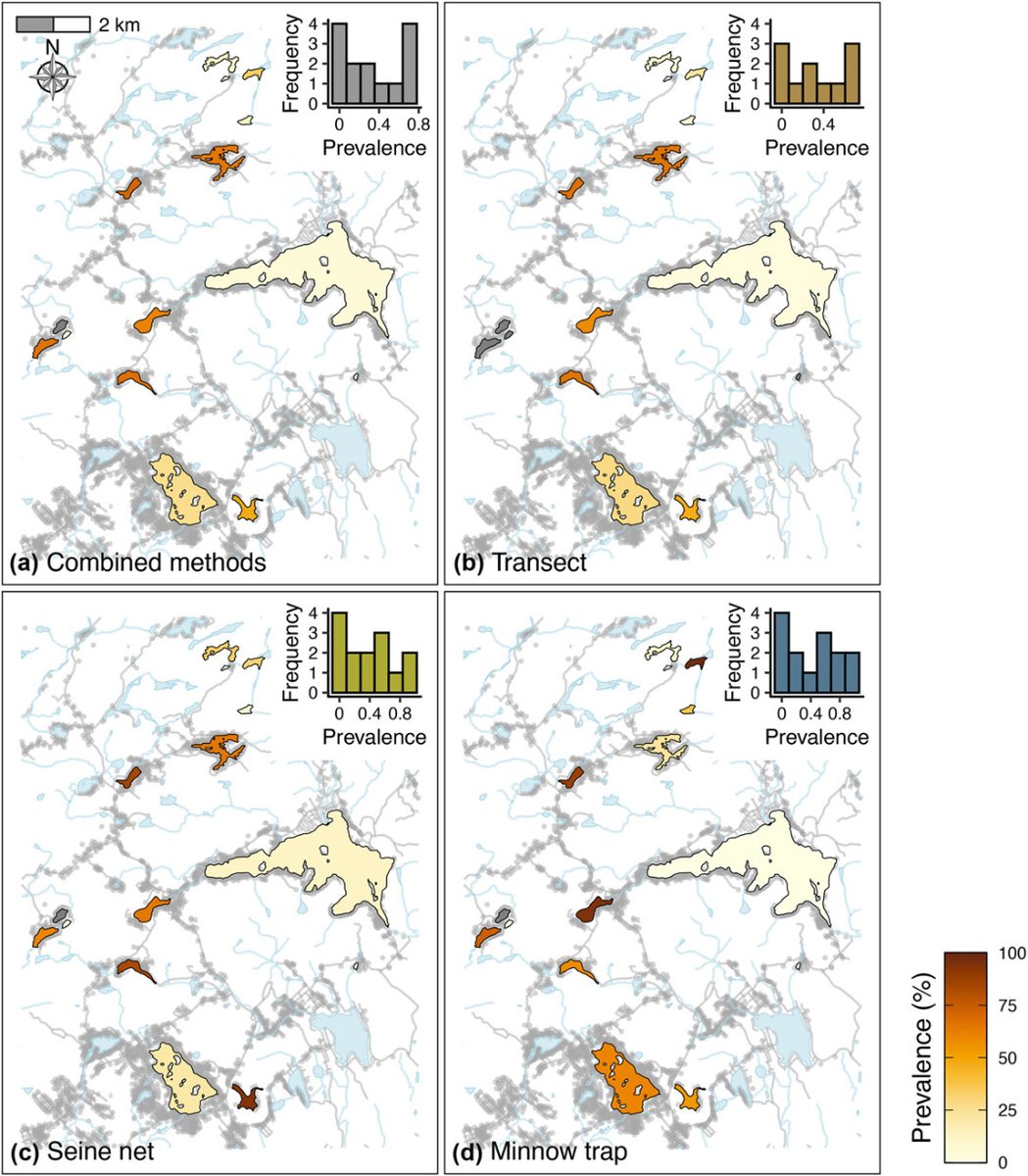 Oikos_Journal's tweet photo. Local environment and sampling bias drive parasite prevalence estimates in freshwater fish communities
https://t.co/GaMeGCRBmG
📷 © Juliane Vigneault
#DiseaseEcology #DistributionPatterns #HostParasiteInteractions #InfectionPredictors #InfectionParameters #SamplingDesign https://t.co/dsxsN5GjPQ