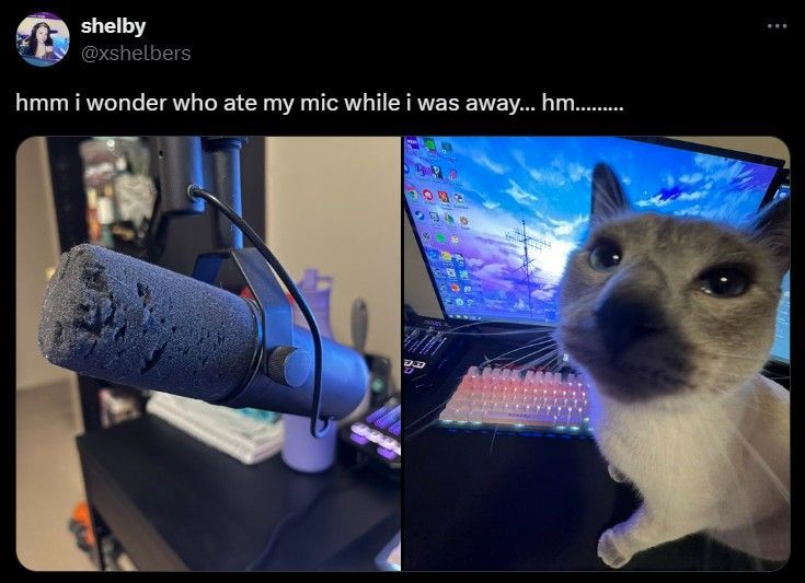 A bold new podcasting style.