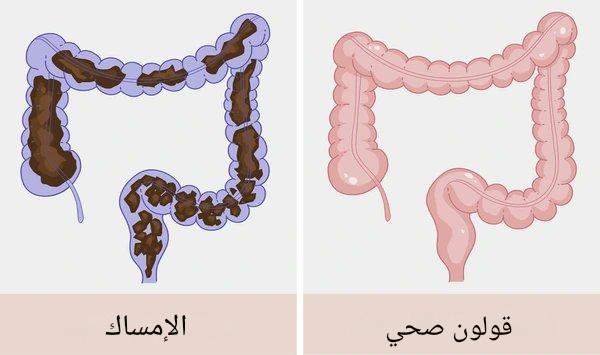Rissslh's tweet photo. تنظيف القولون هو أقوى تدخل صحي يتم تجاهله.

يساعد في علاج التعب المزمن، ومشاكل البشرة، وضعف المناعة..

جربته بنفسي، وكانت نتائجه مذهلة..

إليك الطريقة الصحيحة لتنظيف القولون: https://t.co/dsnPIH4PQT
