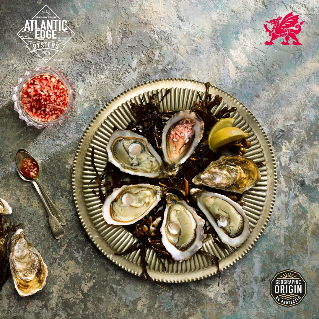What does PGI mean for oysters? 🦪

Legal protection
Traceability
Sustainable &amp; Quality
True Taste of Place (Merroir)

Only our oysters grown in Pembrokeshire can carry the name.
Look for the logo — and ask for them by name.

#PGIFood #PembrokeshireOysters #UKGI #OysterFarm