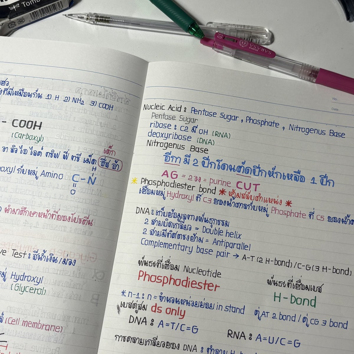 staybec00lkids's tweet photo. biochemistry of life https://t.co/3HYxyTvufM